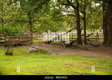 Ländliche Szene in Skansen, das erste Open-air Museum und Zoo, befindet sich auf der Insel Djurgården. Stockfoto