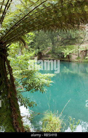 Blue Lake, die Jenolan Höhlen, New South Wales, Australien Stockfoto