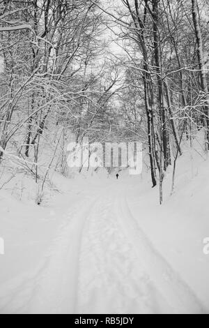 Wunderschöne Landschaft Winter Blick mit weißem Schnee an einem kalten Tag. Stockfoto