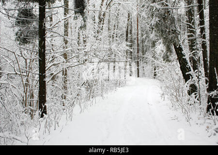 Wunderschöne Landschaft Winter Blick mit weißem Schnee an einem kalten Tag. Stockfoto