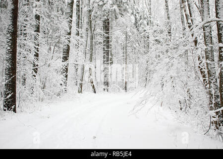 Wunderschöne Landschaft Winter Blick mit weißem Schnee an einem kalten Tag. Stockfoto