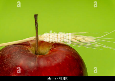 Red Apple und Ohr von Roggen Weizen auf einem grünen Hintergrund. Farbtrends 2019 Konzept mit Kopie Raum Stockfoto