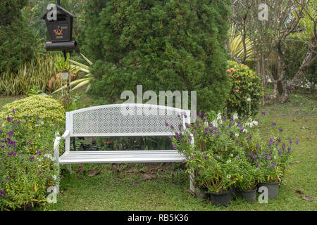 Schöne weiße Vintage iron Bank im Garten Stockfoto