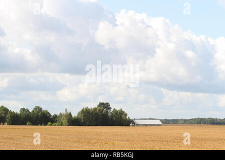 Blick auf die Landschaft von farmside Landschaft. In Europa - Lettland. Stockfoto