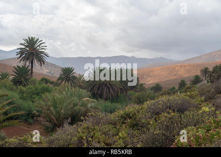 Vulkanische Berge Landschaft von Fuerteventura, Betancuria, Kanarische Inseln, Spanien Stockfoto