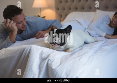 Paar spielen mit ihren Hund im Schlafzimmer Stockfoto