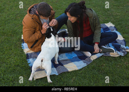 Paar Spielen mit Ihrem Hund Stockfoto