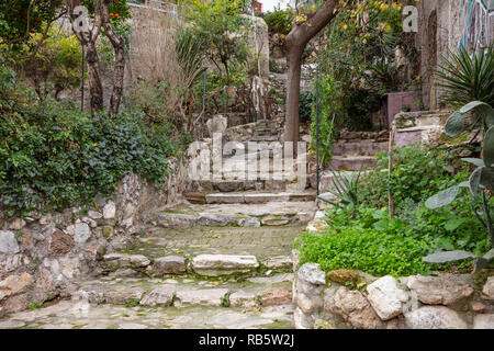 Plaka, Athens Griechenland. Altstadt engen Treppen, Häuserfassaden und Bäume. Niedrigen Winkel, perspektivische Ansicht Stockfoto