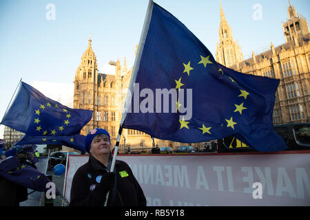 Protest gegen Brexit pro Demonstranten schwenkten Fahnen der Europäischen Union gegenüber dem Parlament in Westminster am Tag bleiben, die Konservative Partei MPs ein Mißtrauensvotum gegen den Ministerpräsidenten am 12. Dezember 2018 in London, England, Vereinigten Königreich ausgelöst. Stockfoto
