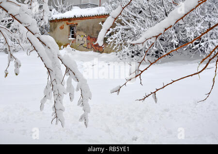 Ein altes Haus mit Graffiti unter schneebedeckten Bäumen Stockfoto