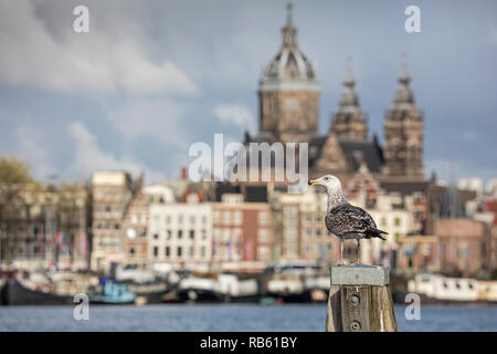 Die Niederlande, Amsterdam, Oosterdok Bereich. Blick auf Prins Hendrikkade, Basilika des Heiligen Nikolaus. Gull. Stockfoto