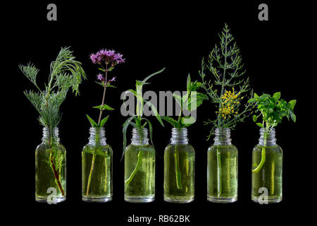 Verschiedene Healing Flowers in kleinen Glasflaschen auf Schwarz Stockfoto