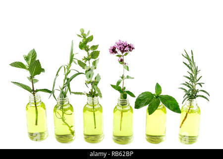 Verschiedene Healing Flowers in kleinen Glasflaschen auf Weiß Stockfoto