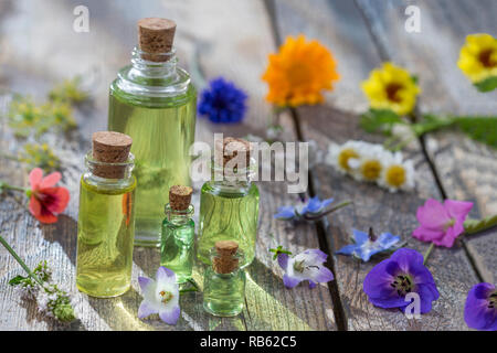 Alternative kraut Medizin. pflanzliche Vitamin auf weißem Hintergrund. Stockfoto