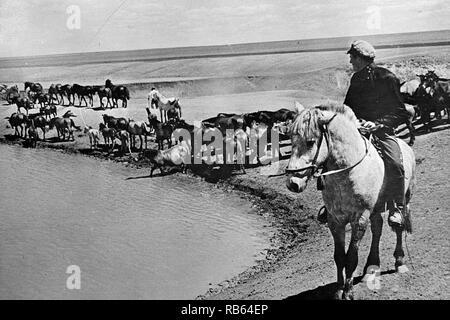 Fotografieren der UdSSR Soldaten Bewässerung Pferde an einem Teich in der Steppe auf einer Kolchose. Dater 1915 Stockfoto