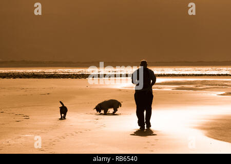 Tywyn Strand, mit Hund Walker, am späten Nachmittag Sonnenschein Stockfoto