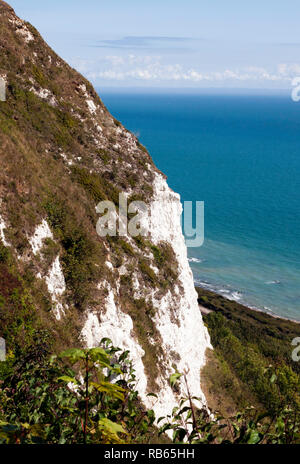 Blick von der Klippe Pfad, der East Cliff, mit dem Warren Country Park unterhalb. Der Zugang ist von der Klippe Café New Dover Road, Capel-le-Ferne. Stockfoto