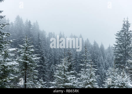 Winter Im Gantrisch Gebiet, Berner Oberland Stockfoto