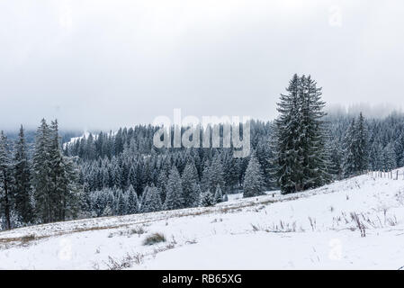 Winter Im Gantrisch Gebiet, Berner Oberland Stockfoto
