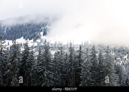 Winter Im Gantrisch Gebiet, Berner Oberland Stockfoto