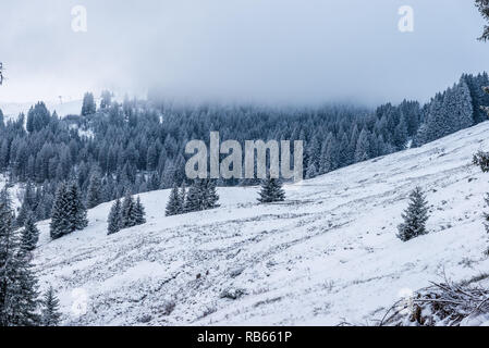 Winter Im Gantrisch Gebiet, Berner Oberland Stockfoto
