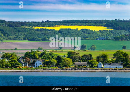 Die Cromarty Firth Küste in der Nähe von Invergordon, Sootland, Großbritannien, Europa. Stockfoto