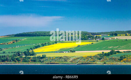 Die Cromarty Firth Küste in der Nähe von Invergordon, Sootland, Großbritannien, Europa. Stockfoto