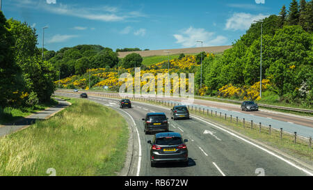 Eine Landstraße in einer ländlichen Gegend in der Nähe von Invergordon, Schottland, Großbritannien, Europa. Stockfoto