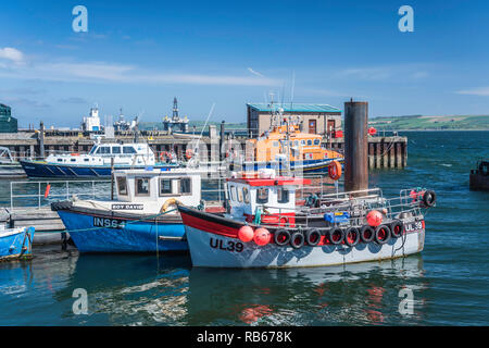 Bunte Boote im Hafen von Invergordon, Schottland, Großbritannien, Europa. Stockfoto