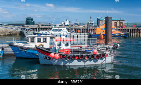 Bunte Boote im Hafen von Invergordon, Schottland, Großbritannien, Europa. Stockfoto