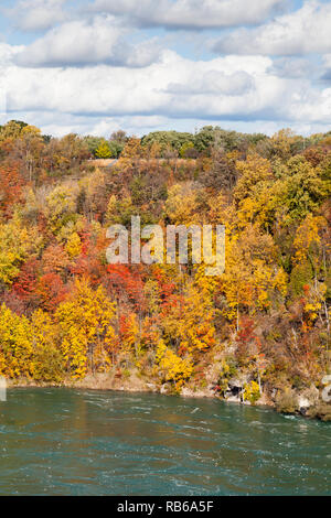 Die Aussicht auf die Niagara Whirlpool auf der kanadischen und US-amerikanischen Grenze. Im Hintergrund ist das bunte Laub der Bäume im Herbst gesehen werden. Stockfoto