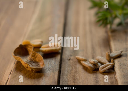 Einige grüne Zweige und einige Samen auf Holz rustikal. Pflanzliche Lebensmittel auf neutralem Hintergrund. Stockfoto