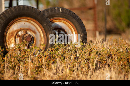 Zwei alte und verrostete Reifen gegen einen unter den hohen trockenes Gras vergießen ruhen Stockfoto