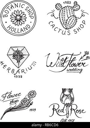 Flower Shop Embleme und Logos. Vintage Bouquet. Gartenarbeit Zeichen und retro Label. Hand gezeichnet Abzeichen. Florale vorlagen. Stock Vektor