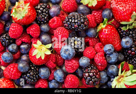 Gruppe von Blaubeeren, Himbeeren, Brombeeren und Erdbeeren Stockfoto