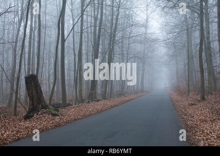 Eine Straße in Deutschland gehen durch einen Wald mit Nebel und Straße Zeichen am Ende der Straße. Stockfoto