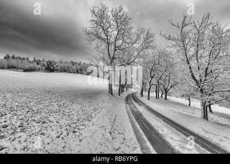 Verschneite Gasse road Tracks auf einen Bauernhof, ländlichen Idyllischen monochrome Winter Landschaft, Feld, Hügel, Himmel, Wolken, Bäume, Wald Stockfoto