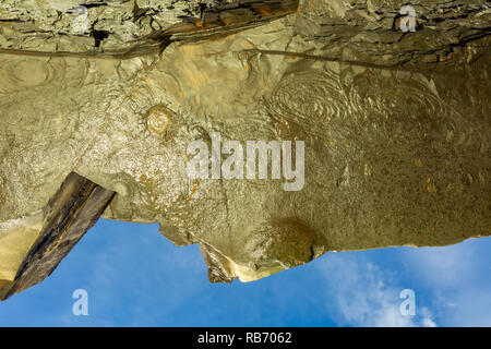 Landschaft Foto von unten Klippe Überhang an Ammonit Körper fossilen bei Kimmeridge Bay, Dorset, Großbritannien konzentriert. Stockfoto