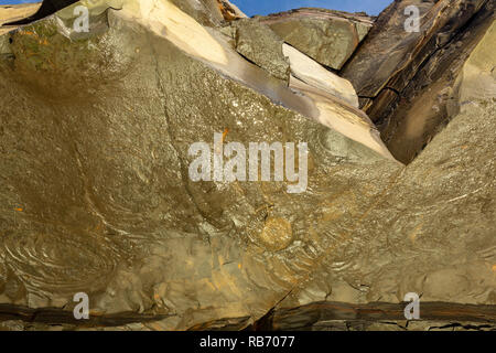 Landschaft Foto von unten Klippe Überhang an Ammonit Körper fossilen bei Kimmeridge Bay, Dorset, Großbritannien konzentriert. Stockfoto