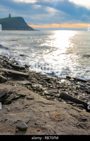 Kreative portrait Foto bei der ammoniter Körper fossilen mit Strand, Meer und Clavell Turm im Hintergrund mit schweren Bokeh konzentriert. Bei Kimmeridge genommen b Stockfoto