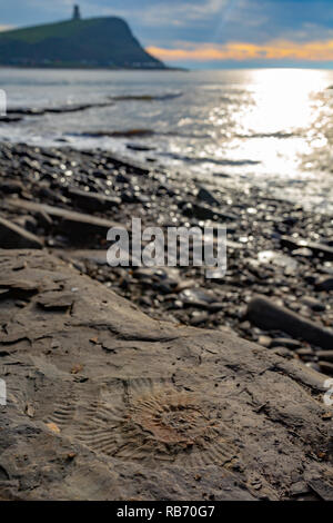 Kreative portrait Foto bei der ammoniter Körper fossilen mit Strand, Meer und Clavell Turm im Hintergrund mit schweren Bokeh konzentriert. Bei Kimmeridge genommen b Stockfoto