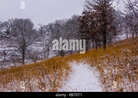 Prairie Pfad in der angenehmen Valley Conservancy im südlichen Wisconsin. Stockfoto