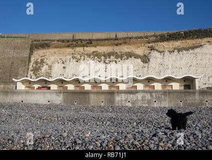 Ein Kiesstrand mit einem schwarzen Welpen spielen und eine Betonmauer mit einer Reihe von zehn im Art déco-Stil Strand Hütten über die Mauer, die Umkleidekabinen am Strand sitzen an der Bo Stockfoto