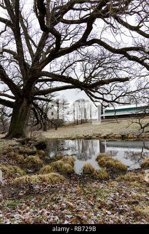 Kleiner Bach schlängelt sich durch Ackerland im ländlichen Illinois auf einem kalten Wintern. Stockfoto