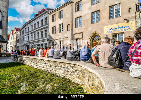 Ein Reiseleiter und ihre Gruppe von Touristen auf einer Wand in der historischen Altstadt von Tallinn, Estland. Stockfoto