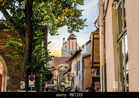 Die mittelalterliche Architektur von Katariina käik, oder St. Catherine's Passage in die versteckte kleine Gasse in Tallinn, Estland Stockfoto