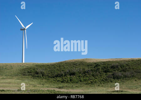 Windturbine in klarem blauen Himmel auf einer Prärie-Landschaft in Kanada Stockfoto