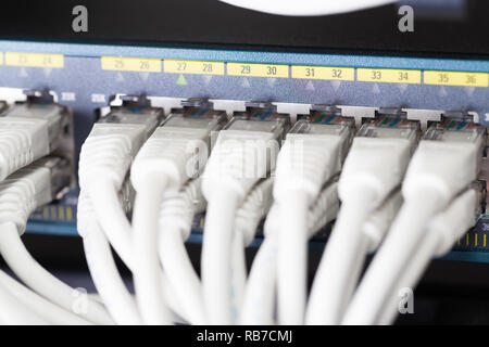 Schnelle Gigabit Ethernet Netzwerk Switch im Rechenzentrum Stockfoto