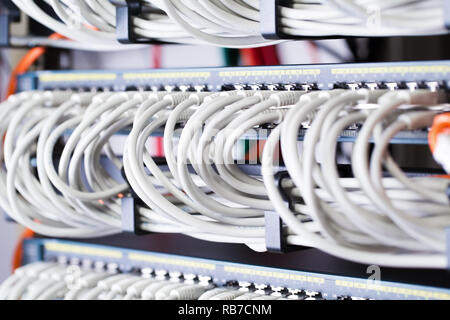 Gigabit Netzwerk Switch und perfekt ausgerichtet Patchkabel im Rechenzentrum Stockfoto