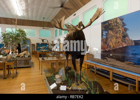 Libby Museum Wolfeboro New Hamphire Stockfoto